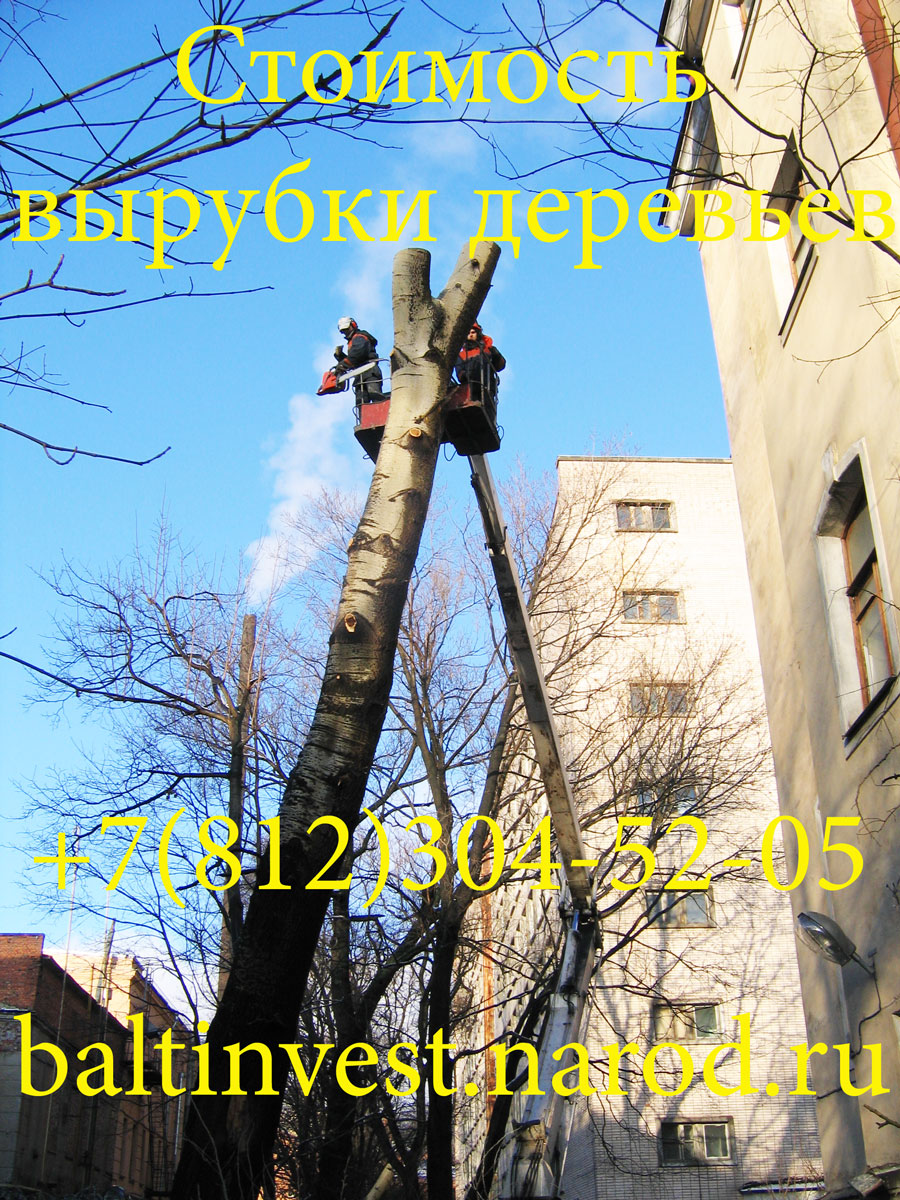  Спилить дерево цена от 500 рублей за дерево в Санкт-Петербурге