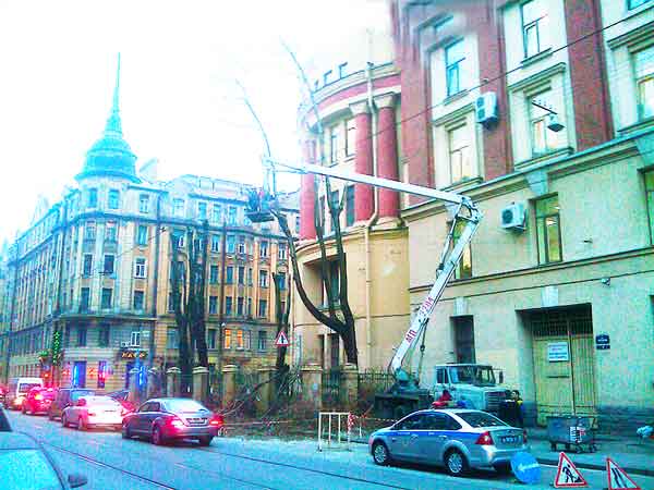 Валка деревьев, вырубка, спил в Санкт-Петербурге, Ленинградской области