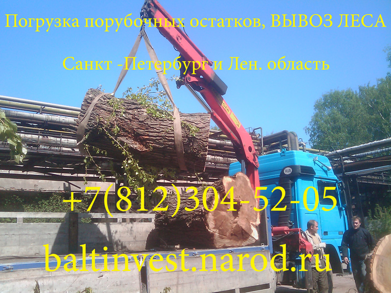 Вывоз леса и погрузка порубочных остатков, после валки деревьев в Санкт-Петербурге и ЛО 